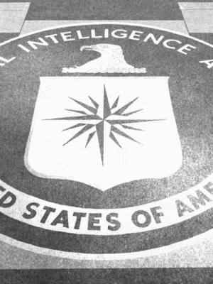Chat with The CIA (for 20 Minutes)!