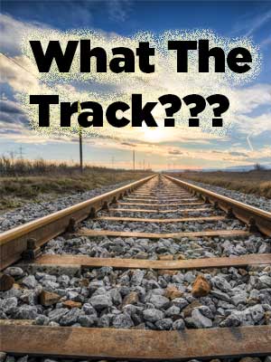 Faculty Explains ECE Tracks